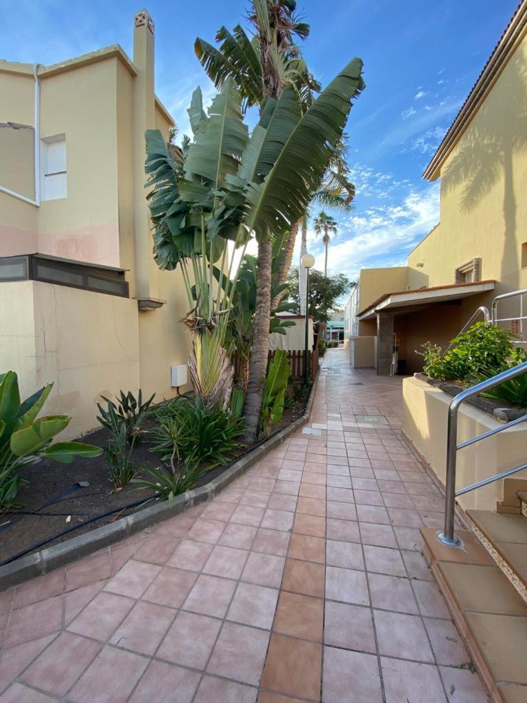Canarian Green Oasis By Luca Properties Gran Canaria Maspalomas  Buitenkant foto